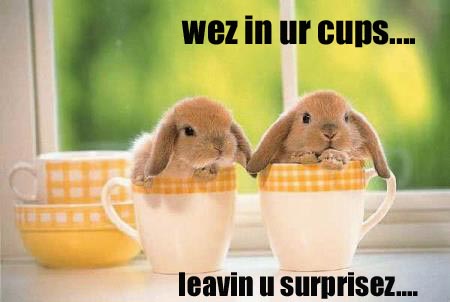 Posted by lolbunniez under baby bunny, bunny, bunny food, cute bunnies, 